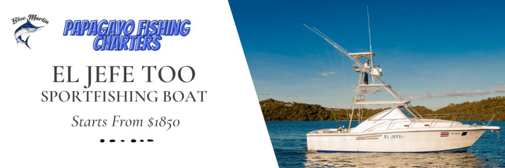 EL JEFE TOO Papagayo sport fishing boat