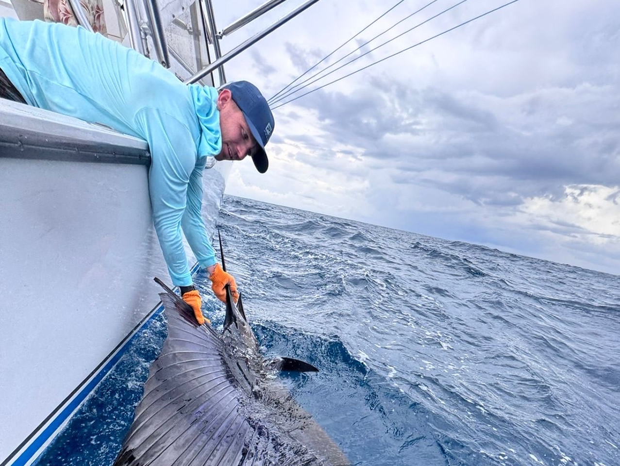 Catching sailfish on a Herradura Fish Whistle sport fishing charter