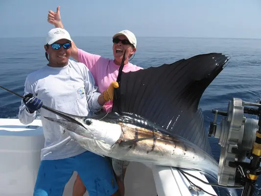 Sailfish - offshore fishing