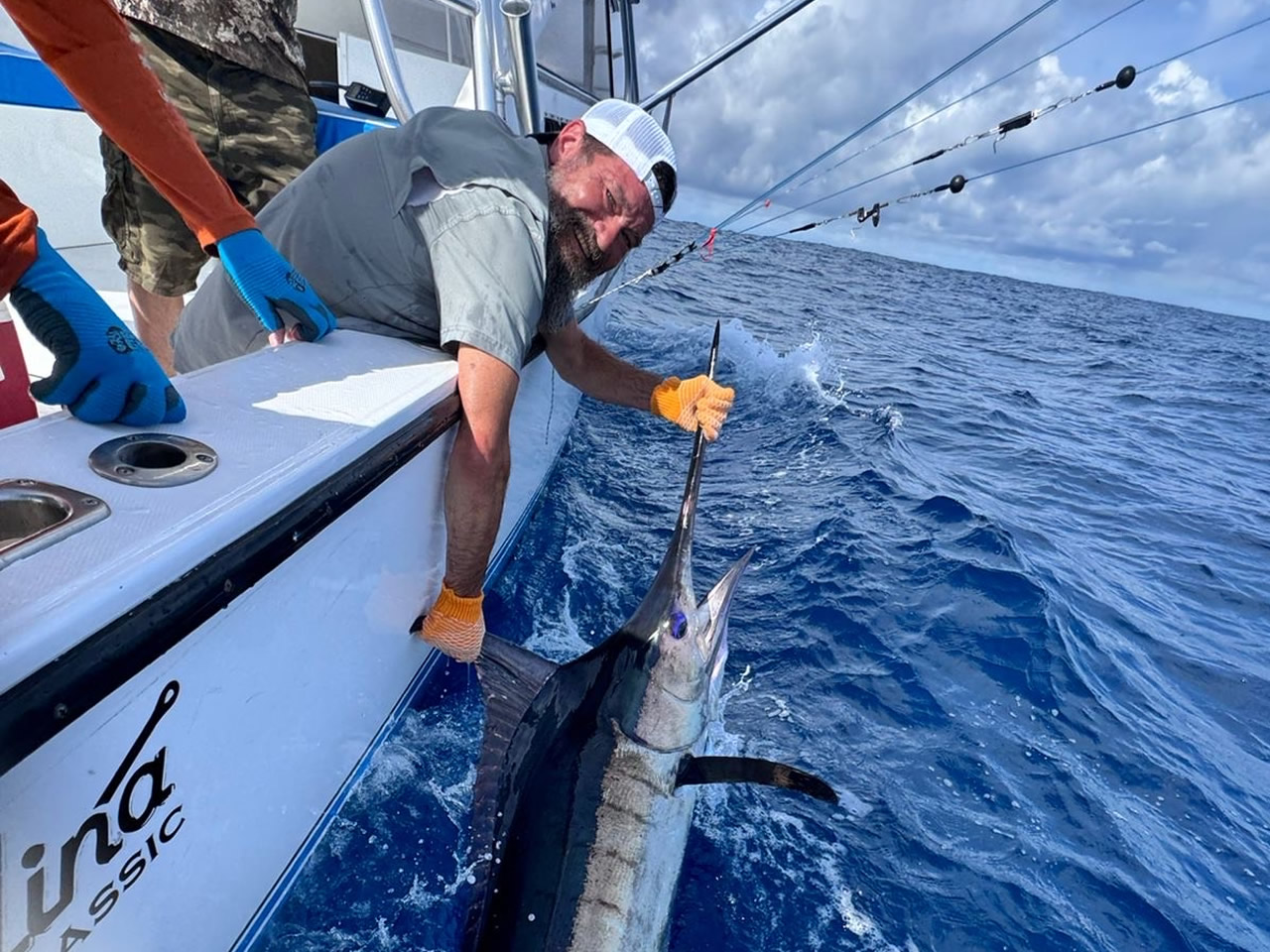 Catch and release billfish on a Fish Whistle sport fishing charter