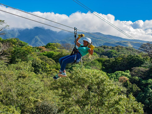 Eco Adventure Park forest canopy