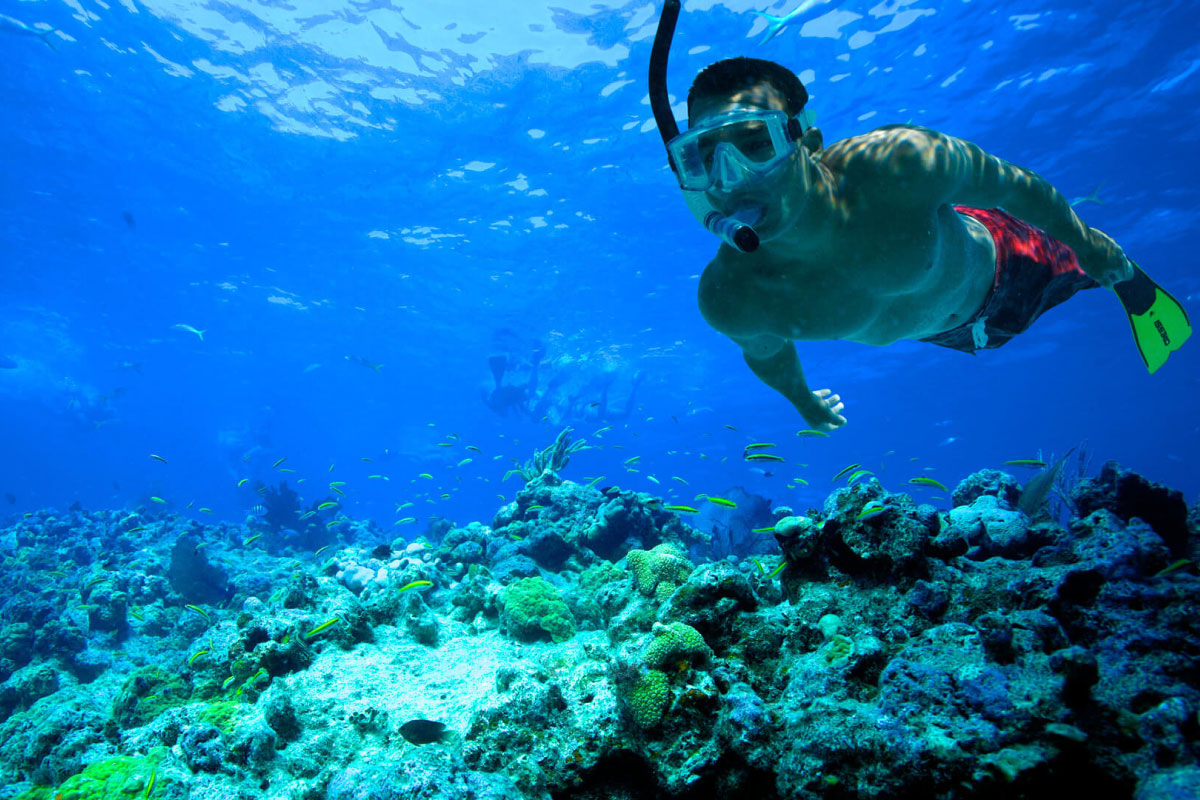 Snorkeling adventure in Papagayo Guanaccaste