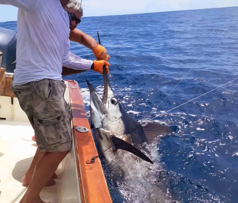 Marlin Fishing Cowboy Sport fishing boat Quepos Fleet