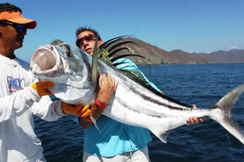 Rooster fish - fishing Papagayo