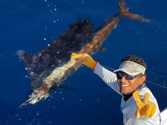 Blue Marlin Sportfishing Costa Rica