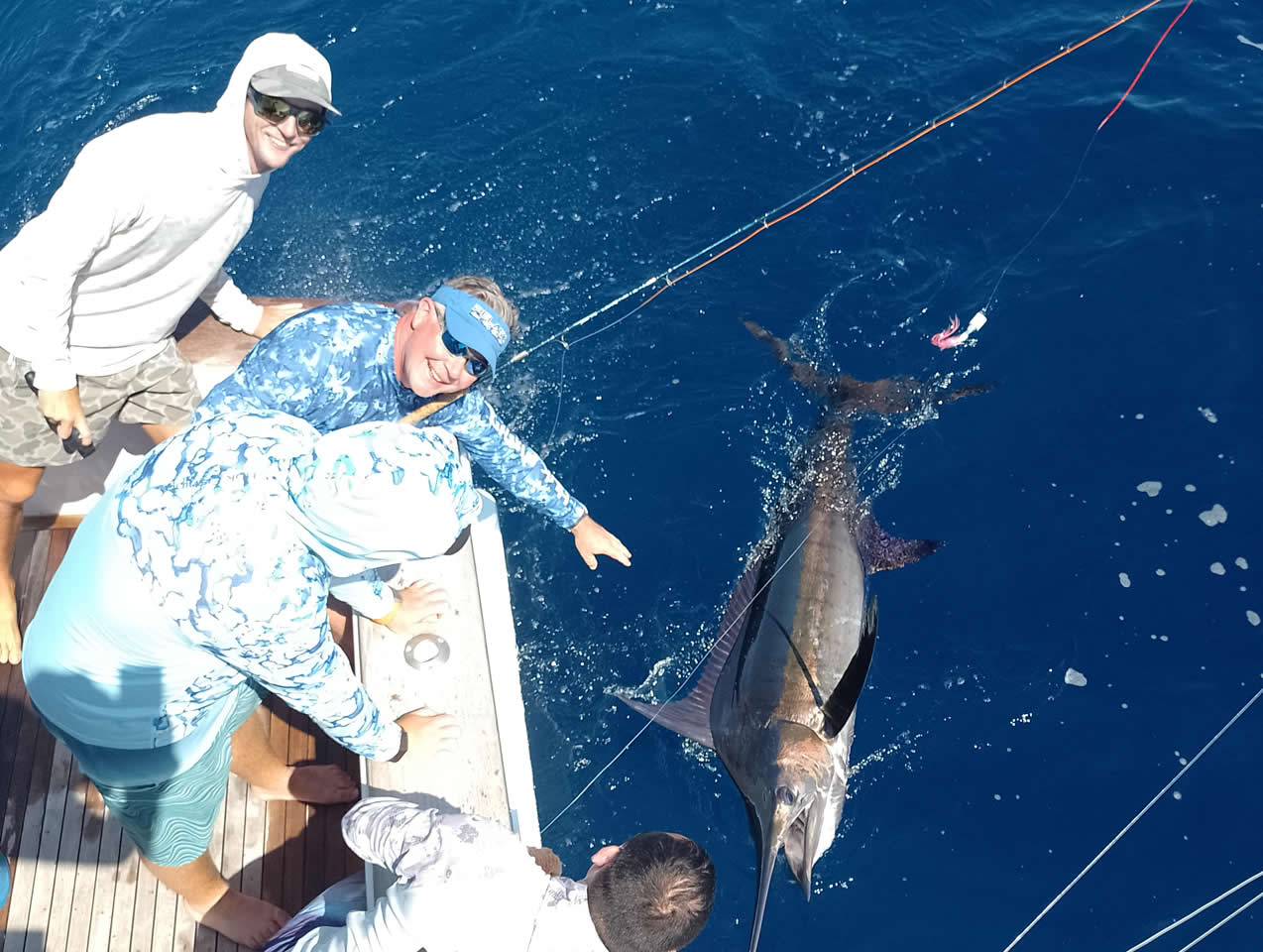 Dragin Fly Marlin Reelease