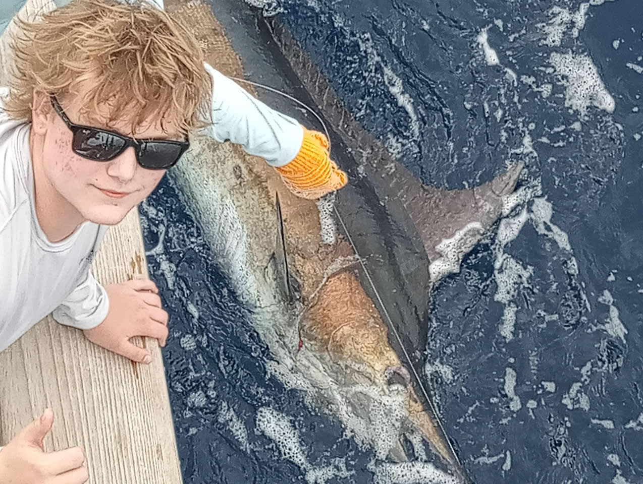 Catch and release marlin with the Dragin fly boat
