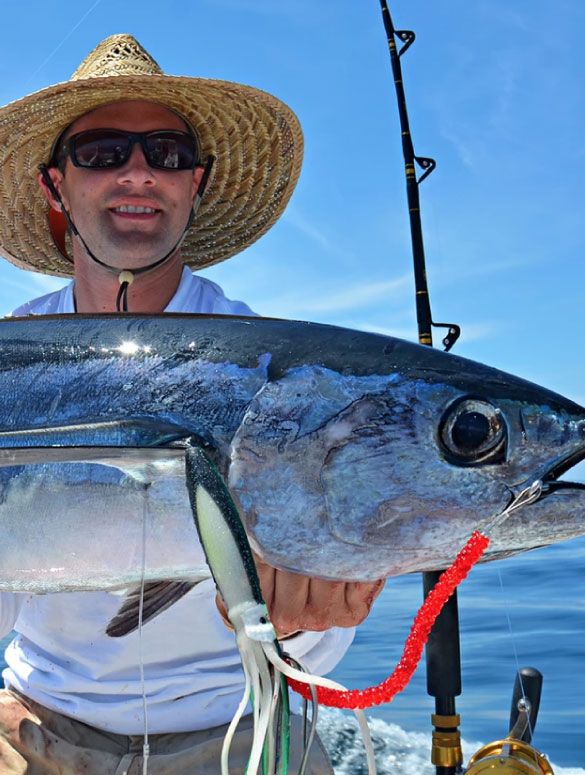 Blue Marlin Sport fishing Costa Rica