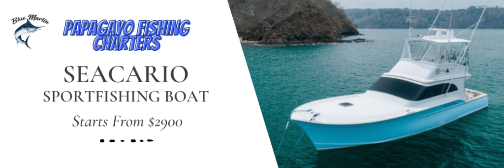 SEACARIO Papagayo sport fishing boat