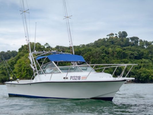 Blue Marlin Sportfishing Costa Rica