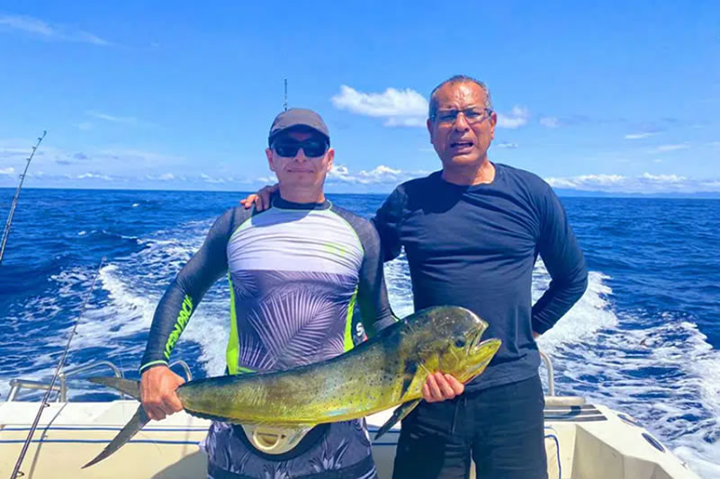 Catching the fish of a thousand names…mahi mahi, dorado on the fishing boat Macarela