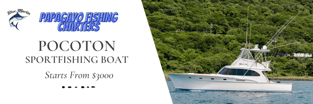 POCOTON Papagayo sport fishing boat