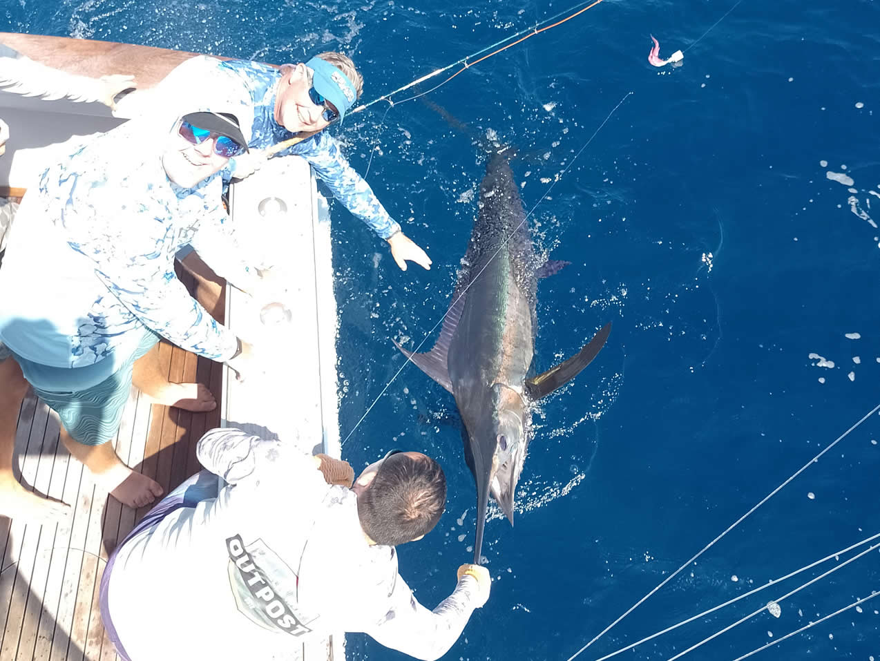 Marlin release on Dragonfly sportfishing boat