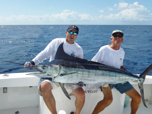 Blue Marlin - fishing in
