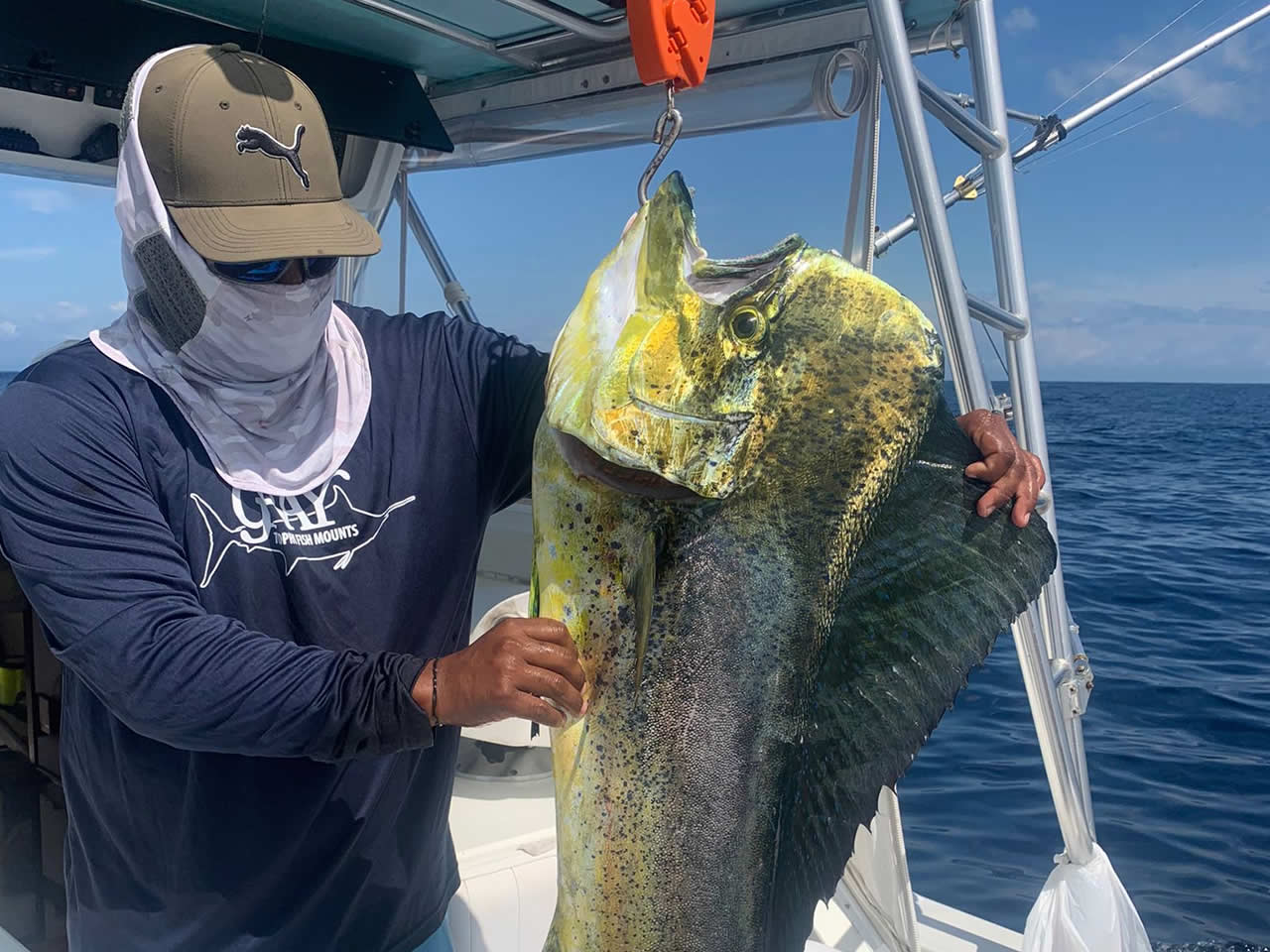 Herradura fishing charter Big Catch Dorado Fish