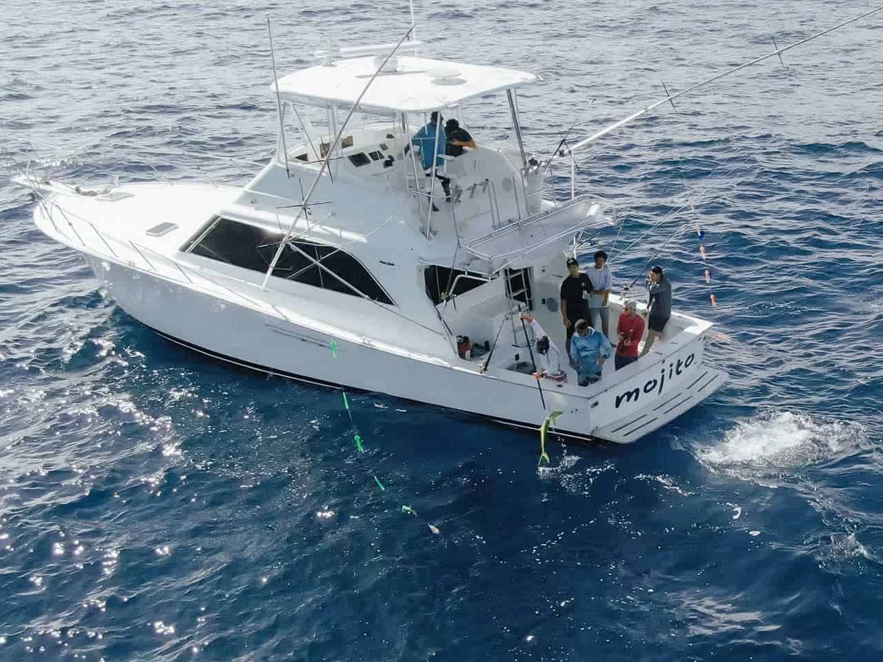 Sportfishing charters Marina Los Sueños - Mojito boat