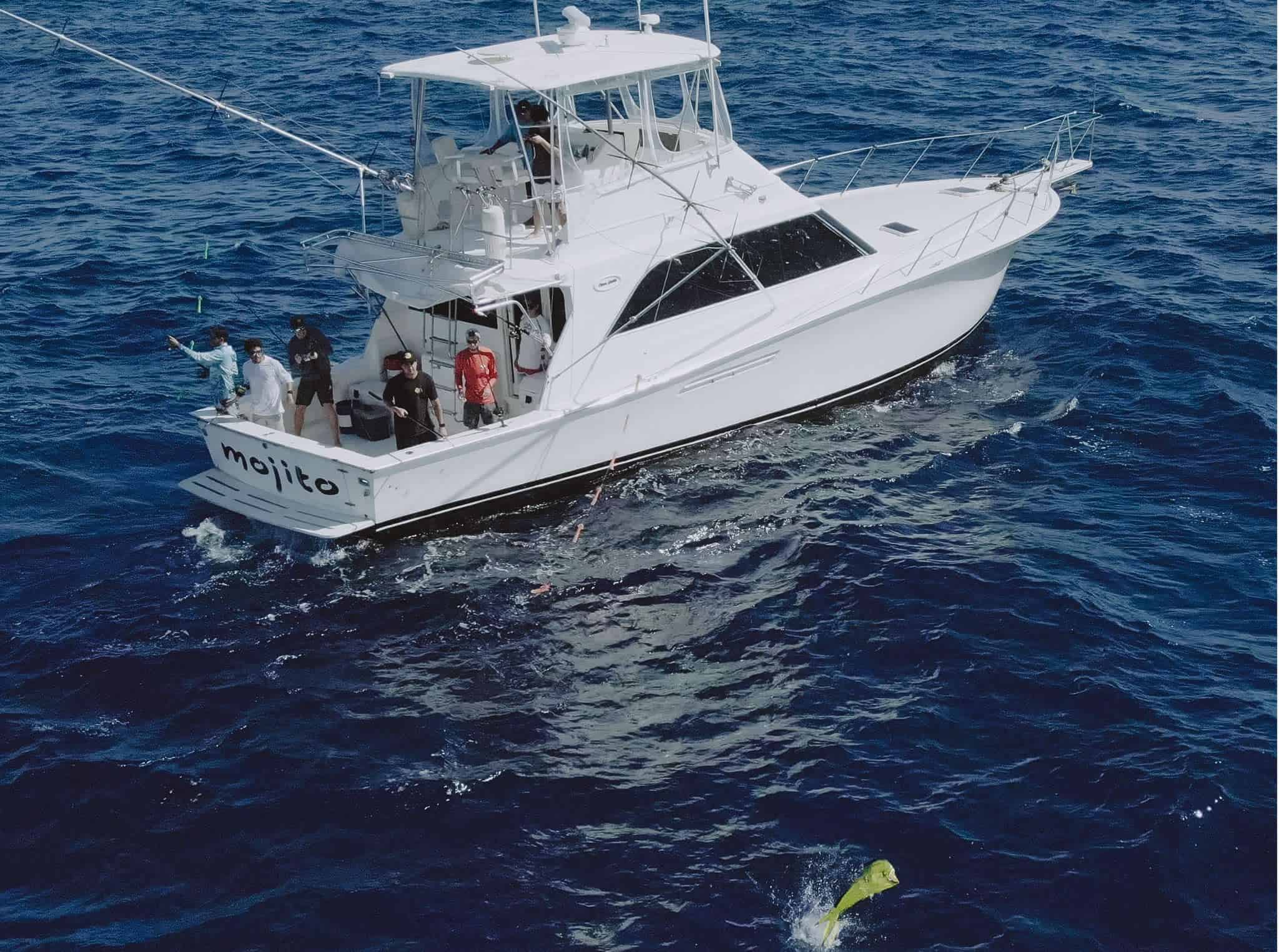 Mojito sport fishing charters