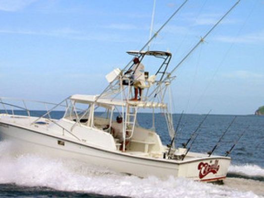 Fishing Charters Tamarindo Capullo 36 Ft Boat